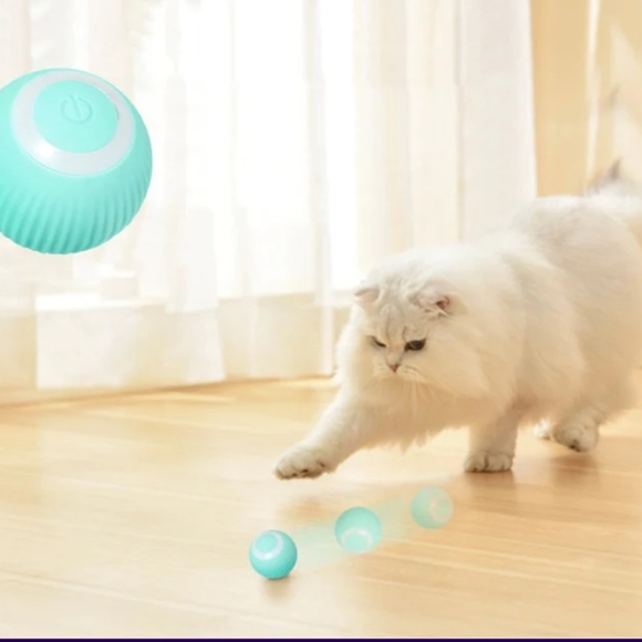 Cat Smart Ball! - Picture 3 of 5